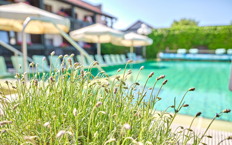 Hotel mit Therme