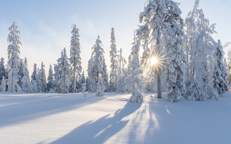 Im Winter